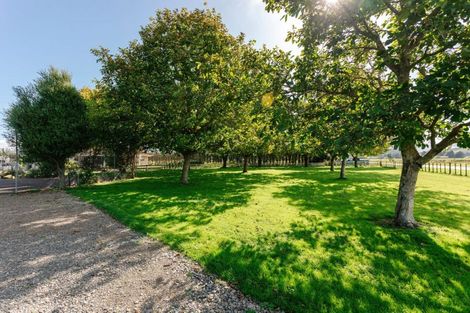 Photo of property in 47 Laws Road, Dannevirke, 4972