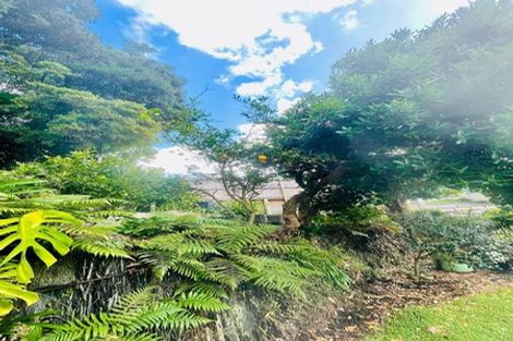 Photo of property in 88 Carrington Street, Lower Vogeltown, New Plymouth, 4310