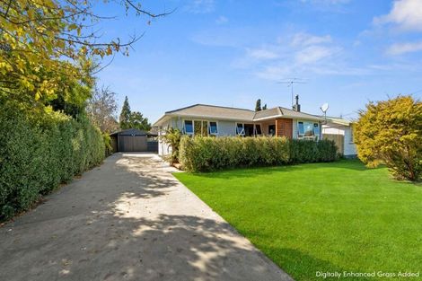 Photo of property in 8 Daphne Street, Outer Kaiti, Gisborne, 4010