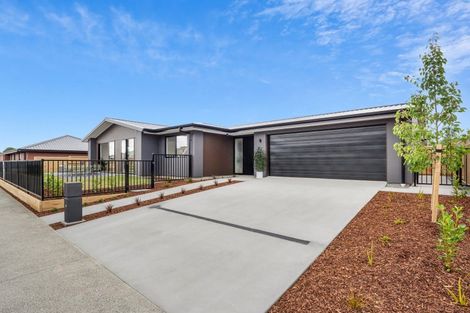 Photo of property in 219 Adler Drive, Ohauiti, Tauranga, 3112