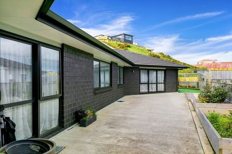 Photo of property in 117 Queen Charlotte Drive, Aotea, Porirua, 5024