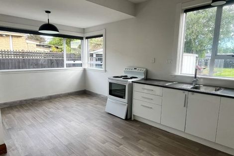 Photo of property in 196 Selwyn Street, Spreydon, Christchurch, 8024