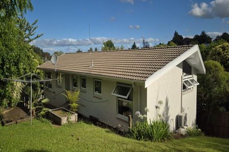 Photo of property in 29 Aurora Terrace, Hillcrest, Hamilton, 3216