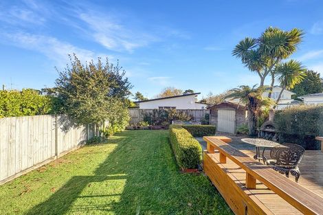 Photo of property in 169 Seddon Road, Maeroa, Hamilton, 3200
