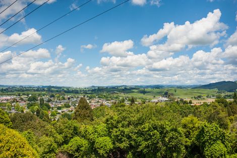 Photo of property in 66 Mountain View Road, Otorohanga, 3900