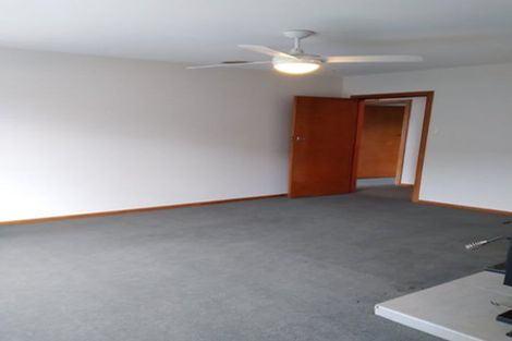 Photo of property in 17 Kinnaird Place, Hillmorton, Christchurch, 8025