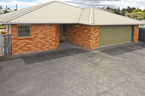 Photo of property in 143b Dixon Street, Masterton, 5810