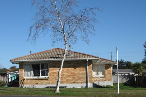 Photo of property in 111 Fairview Street, Chartwell, Hamilton, 3210