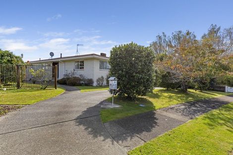 Photo of property in 205 Tiro Tiro Road, Levin, 5510