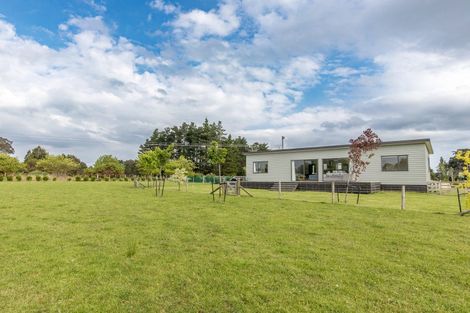 Photo of property in 12 Nelson Street, Woodville, 4997