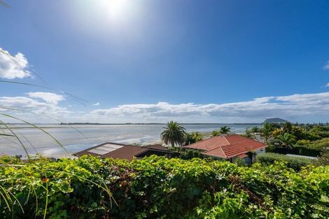 Photo of property in 115 Matua Road, Matua, Tauranga, 3110