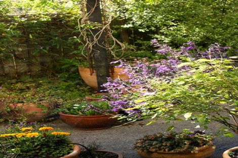 Photo of property in 46e Navigation Drive, Whitby, Porirua, 5024