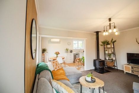 Photo of property in 101 Mulgrave Street, Ashhurst, 4810