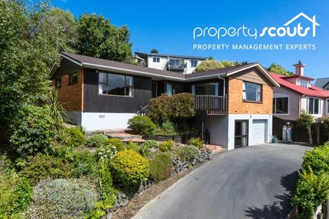 Photo of property in 17 Cawdor Place, Waverley, Dunedin, 9013