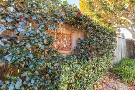 Photo of property in 16 Milbrook Place, Chartwell, Hamilton, 3210