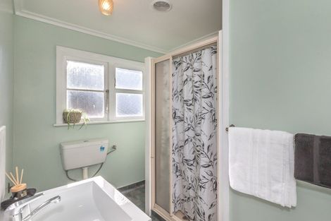 Photo of property in 96 Tiro Tiro Road, Levin, 5510