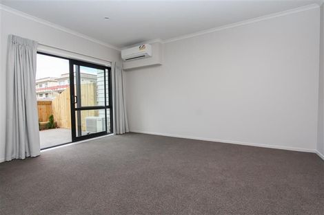 Photo of property in 18u9 Hunter Street, Hamilton Lake, Hamilton, 3204