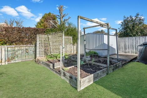 Photo of property in 494 Thames Street, Morrinsville, 3300