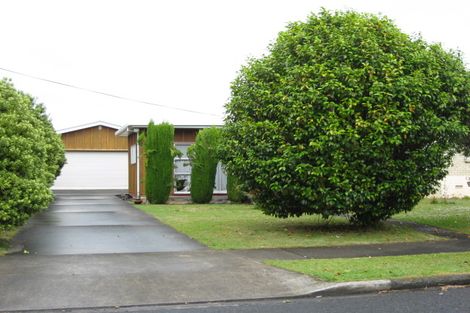 Photo of property in 48 Princes Street, Pukekohe, 2120