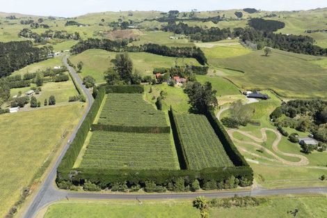 Photo of property in 250 Taurangaruru Road, Karioitahi, Waiuku, 2683