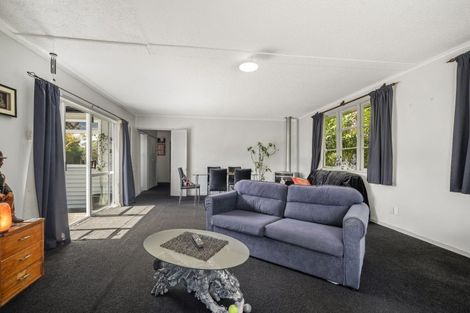 Photo of property in 100 Hinemoa Avenue, Taupo, 3330