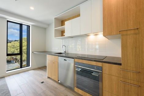 Photo of property in Vsp South, 206/168u Victoria Street, Te Aro, Wellington, 6011