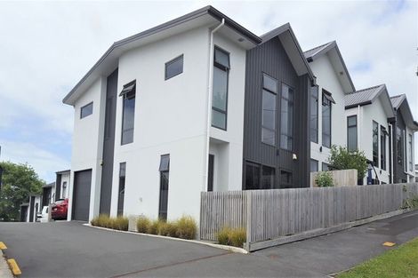Photo of property in 25u4 Thackeray Street, Hamilton Lake, Hamilton, 3204