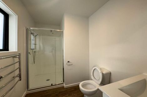 Photo of property in 70a Liardet Street, Vogeltown, Wellington, 6021