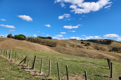 Photo of property in 1386 Buckland Road, Karapiro, Cambridge, 3496