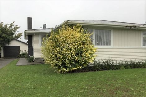 Photo of property in 16 Graham Street, Levin, 5510