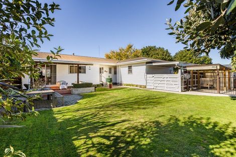 Photo of property in 43 James Foley Avenue, Pirimai, Napier, 4112