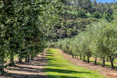 Photo of property in 79 Leccino Valley Road, Mangonui, 0494