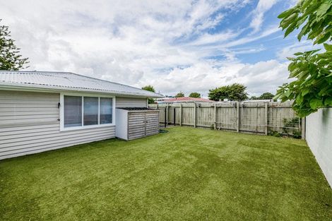 Photo of property in 13 Peachgrove Road, Te Atatu Peninsula, Auckland, 0610