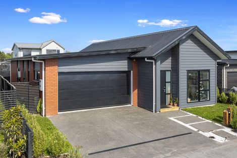 Photo of property in 31 Medway Place, Chartwell, Hamilton, 3210