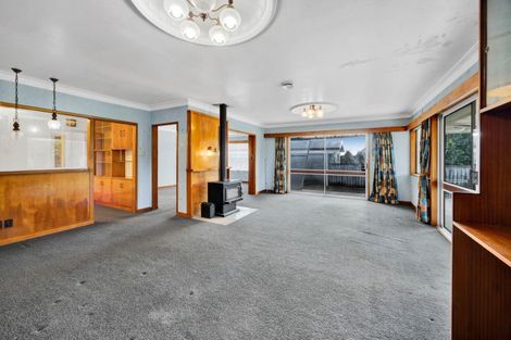 Photo of property in 20 Hinerua Street, Maungatapu, Tauranga, 3112