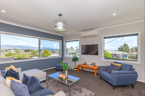 Photo of property in 28 Chester Street, Levin, 5510