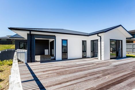 Photo of property in 117 John Burke Drive, Aotea, Porirua, 5024