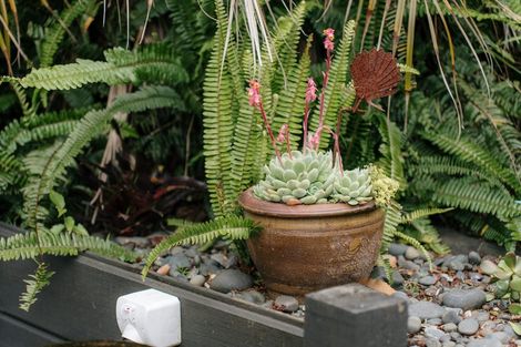 Photo of property in 17a Callis Avenue, Opaheke, Papakura, 2113