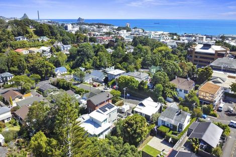 Photo of property in 10 Pendarves Street, New Plymouth, 4310