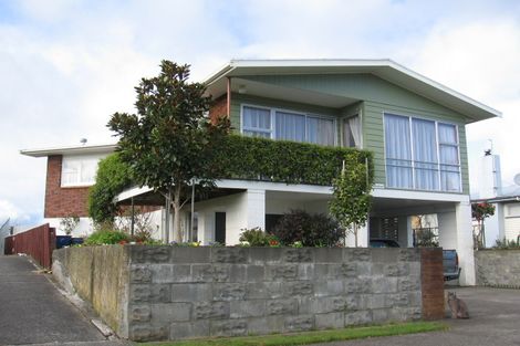 Photo of property in 19 Norrie Street, Feilding, 4702