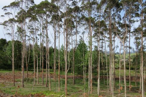 Photo of property in 2770 State Highway 10, Mangonui, 0494
