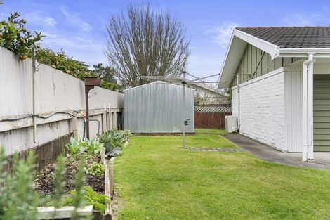 Photo of property in 6a Haworth Avenue, Cambridge, 3434