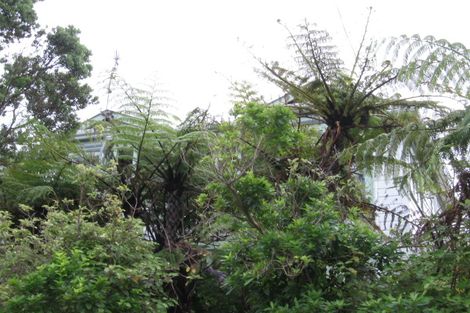 Photo of property in 14 Veronica Street, Brooklyn, Wellington, 6021