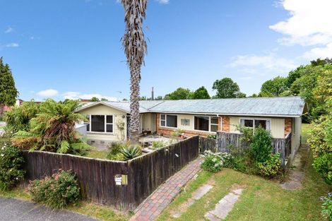 Photo of property in 19 Patricia Avenue, Hamilton East, Hamilton, 3216