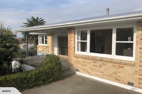 Photo of property in 34 Haggitt Street, Feilding, 4702