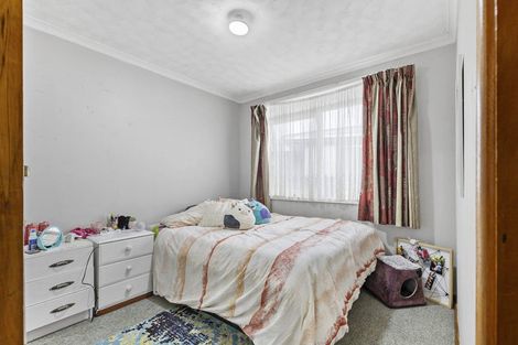 Photo of property in 85 Wyndham Street, Ashhurst, 4810