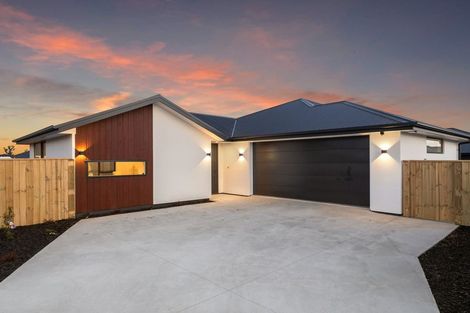 Photo of property in 38 Kestrel Street, Rolleston, 7615