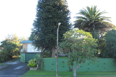 Photo of property in 64 Elizabeth Drive, Tokoroa, 3420