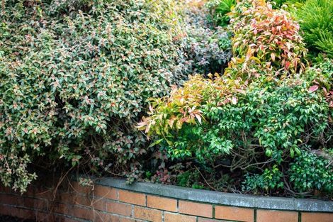 Photo of property in 17 Tiffiney Place, Chartwell, Hamilton, 3210