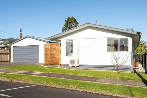 Photo of property in 101 Lowe Avenue, Thames, 3500